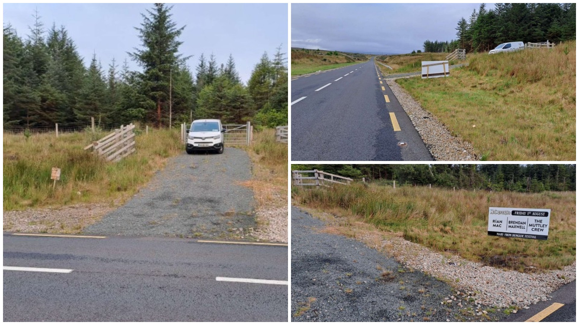 Coillte apply for site access permission for forest tree felling in ...