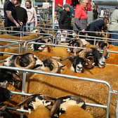 The Ardara Show, which takes place in August, has received  €8,400
