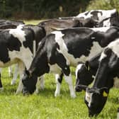 AHI warns that speed is now of the essence if Ireland is to move decisively towards BVD freedom