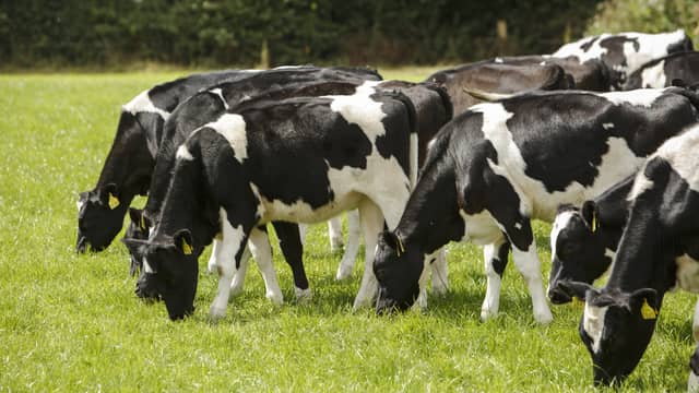 AHI warns that speed is now of the essence if Ireland is to move decisively towards BVD freedom