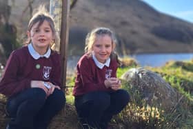 Of the four winning entries in 2025, Scoil Mhuire, Glenties was the Ulster winner for their submission