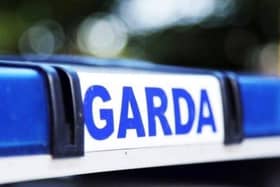 The judge said the garda's evidence was clear and compelling