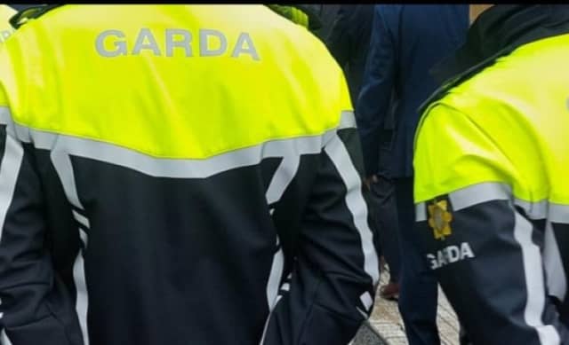 The woman who assaulted a garda was before An Clochan Liath District Court