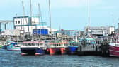 Establishment of the MAIU means that Ireland will now have a body staffed with a full-time, permanent team of investigators for marine accidents