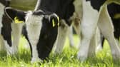 A CalfCare Roadshow event will take place in Killygordon