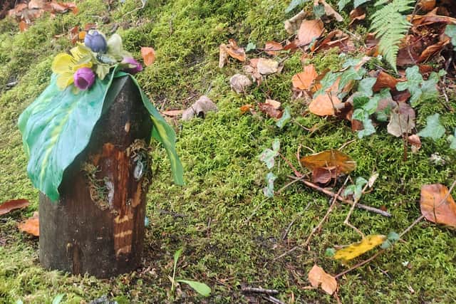 Fairy doors, a Santa letterbox and tree carvings add a magical atmosphere for families.