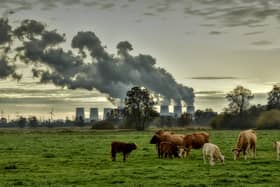 There is a 'strong possibility' that Ireland won't meet its 2030 obligations by 'quite a significant amount'