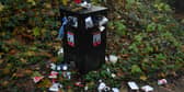 There are calls for a permanent litter warden to be appointed in the Lifford-Stranorlar MD
