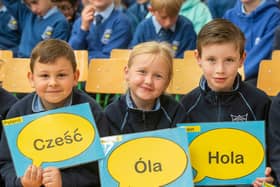 Blue star programme pupils