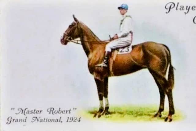 McKinlay lovingly raised his 'huge specimen of a horse', and sent him to The Curragh as a two-year old to train as a flat racer, under the notable Maurice Reidy of Brownstown Cottage.