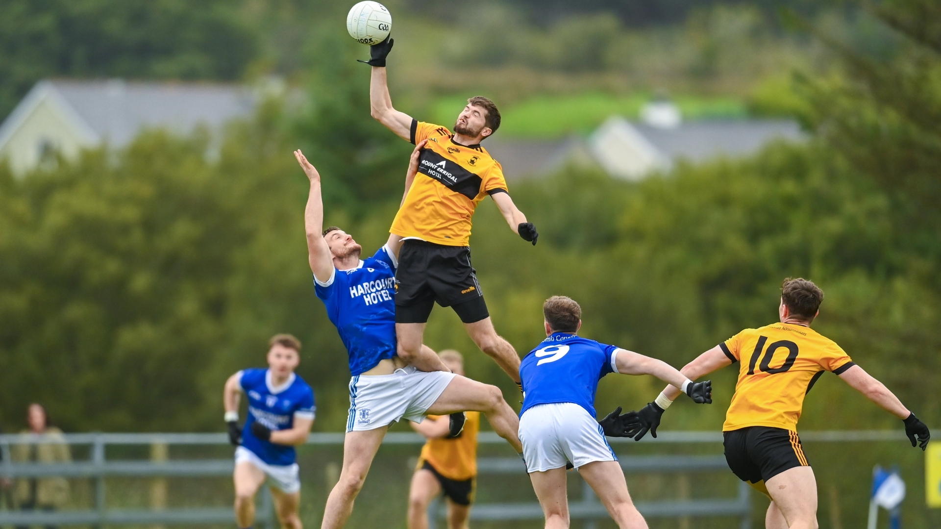 Knockout places decided in Senior and Intermediate Championships