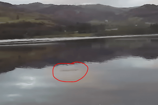 Watch: Donegal enthusiast claims first Lough Ness Monster sighting of 2023