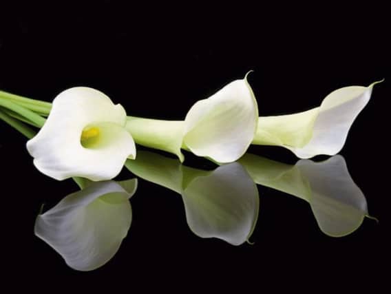 Rest in Peace