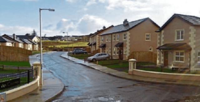 'I cannot afford to be charity organisation' - An Crannla developer