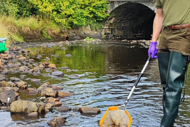Major Donegal fish kill - Investigators following definite line of inquiry
