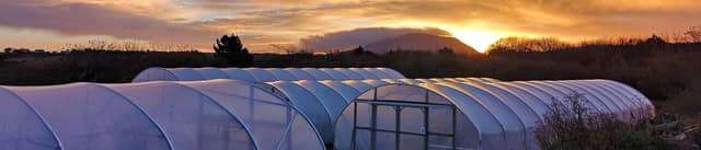 LAN now operates as Cill Ulta – a Centre for Sustainability which promotes food sovereignty, sustainable energies, farm-to-fork research, Irish agricultural heritage and craft, and the Irish language