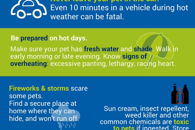 ISPCA issues advice on keeping your pets safe in hot weather