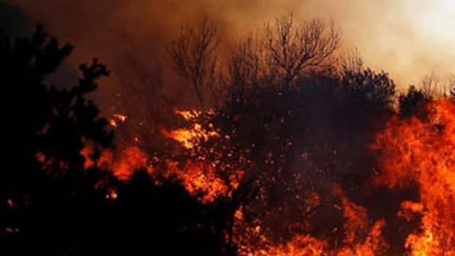 The wildfire burned for almost twelve hours before being brought under control.