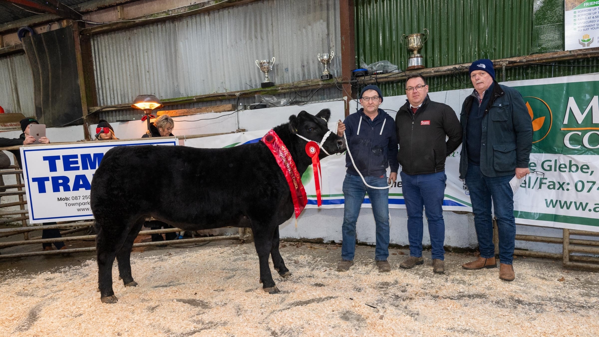 In pictures: Successful annual Raphoe Mart Fatstock Show and Sale