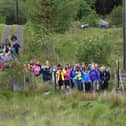The Bluestack Challenge