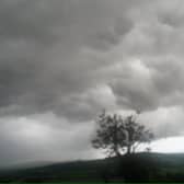   Met Éireann has indicated that exceptionally warm weather is expected with high daytime temperatures, warm and humid nights, and the possibility of thunderstorms