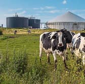 Biomethane is produced through the anaerobic digestion of organic materials, including agricultural feedstock, slurry and food waste, before being processed for use as a renewable replacement for natural gas. 