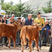 Judging at a sunny Ardara Agricultural Show last year