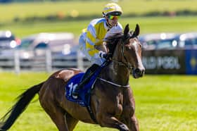 Luke McAteer had a winner in Killarney