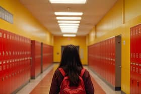 'Sensory sensitivities will always make school environments extremely challenging for some, complex social groupings and changing relationships as children grow and learn at different rates will cause difficulties for others'