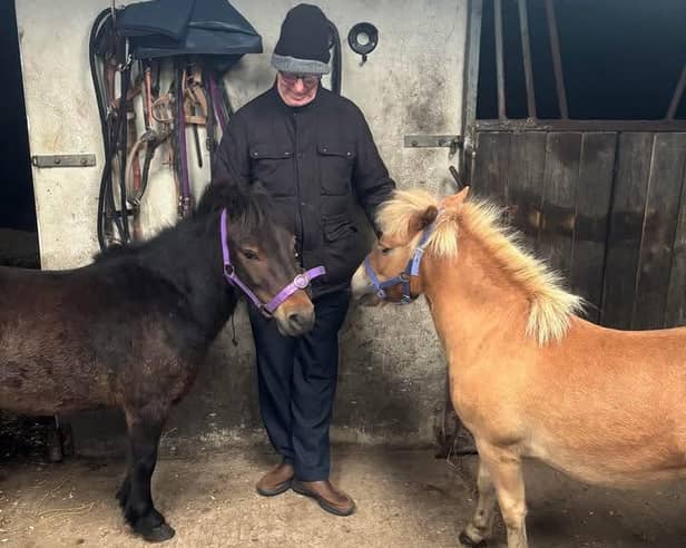  Glebe Farm Equine Learning is located near Carndonagh
