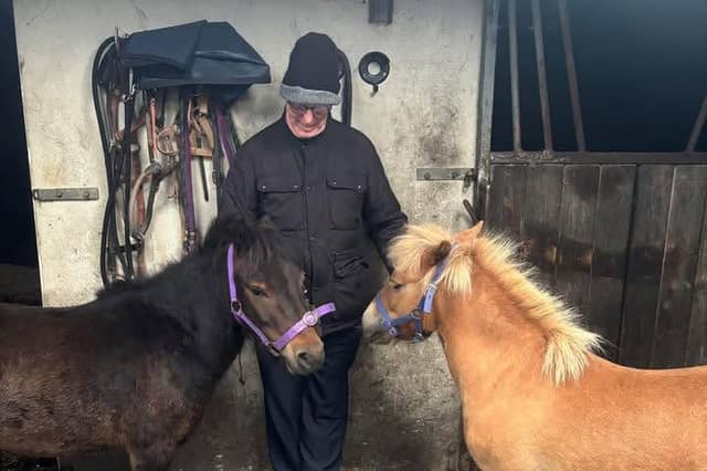 Glebe Farm Equine Learning is located near Carndonagh
