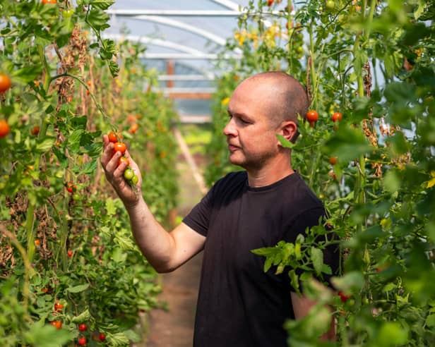Portnoo Market Garden's Barrie Quinn launches debut book in Ardara