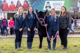  Students Kayla Boyle, Amy Rawdon, Holly Meehan, and Catherine Byrne from St. Catherine's Vocational Secondary School, Killybegs were one of five schools announced to take part in the next instalment of the Certified Irish Angus Schools' Competition