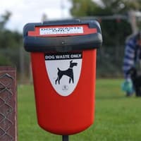 New Donegal dog warden ‘a good start’ against dog fouling battle