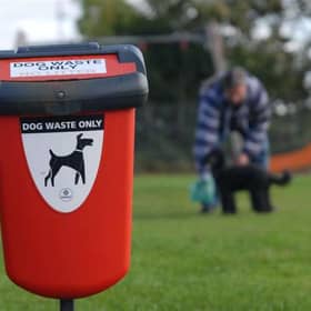 Dog fouling issue discussed at Donegal MD meeting after addition of new dog warden welcomend