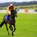 Patrick McGettigan was in the winners' enclosure on Friday evening in Dundalk