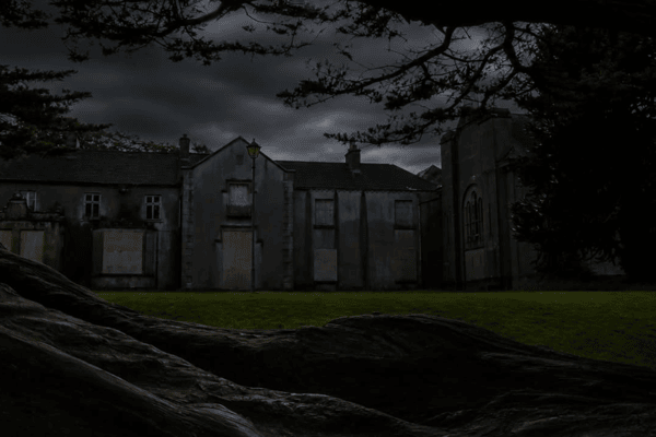 Ballyconnell Woods & Estate