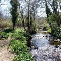 Donegal community urged to get behind Bredagh River clean-up