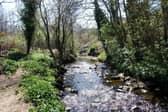 Bredagh River 