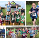 Donegal Primary Schools Cross Country