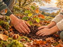 Spending time in nature can help us feel part of something greater than ourselves. Beneath the trees or beside the water, we can pause, breathe and reconnect with a sense of wonder.