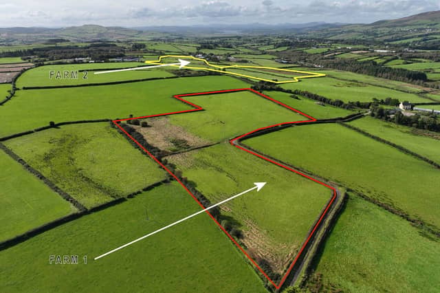 The two farmland plots at Derryvane, just outside Muff village and close to the Derry border, are being offered for sale separately with a combined guide price of €700,000.