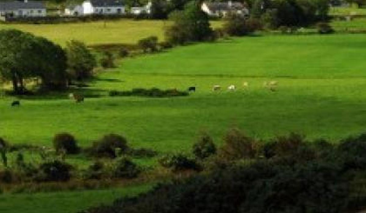 Donegal records biggest drop in farm land prices of any ...