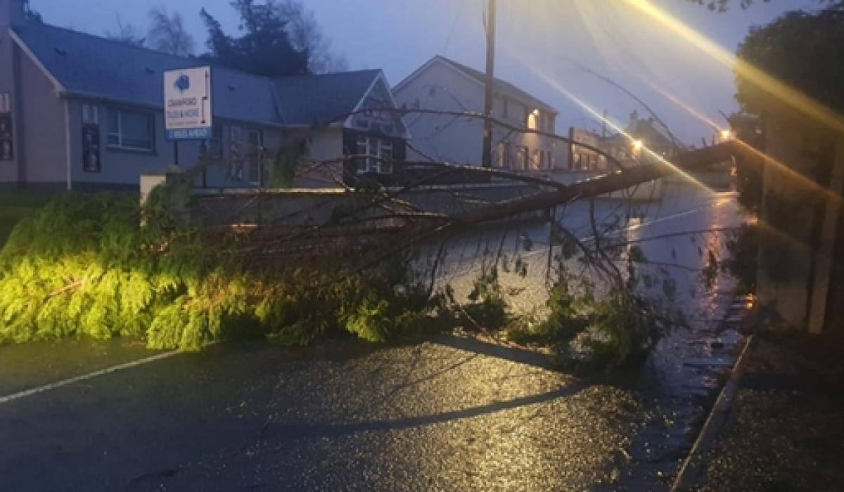 Fallen trees, flooded roads as Donegal feels brunt of weather Donegal