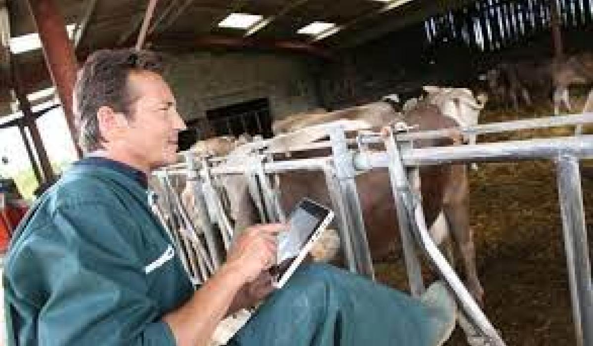 Will Donegal farmers take their stock to the new digital market