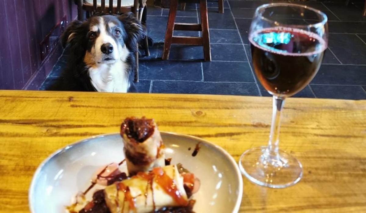 The Rusty Mackerel listed as one of the nation’s best pet cafés