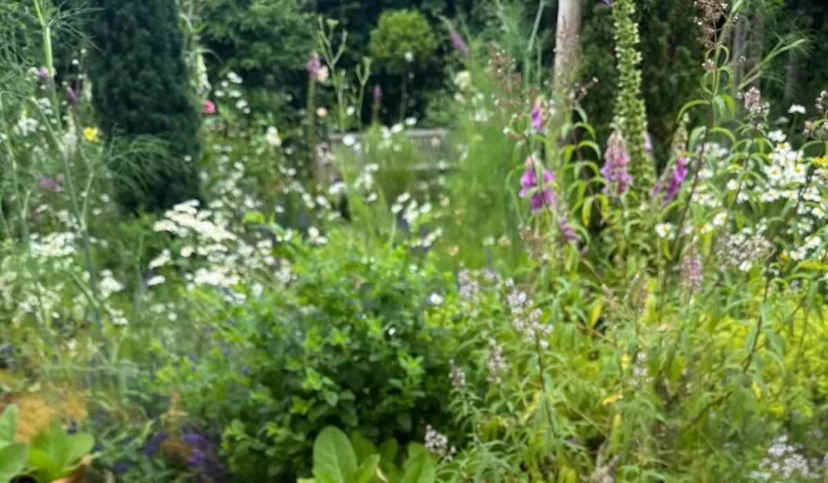 Guest speaker announced for next meeting of the Swilly Gardening Club