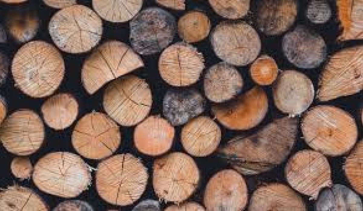 Planning granted for previously refused small timber business in North Donegal 