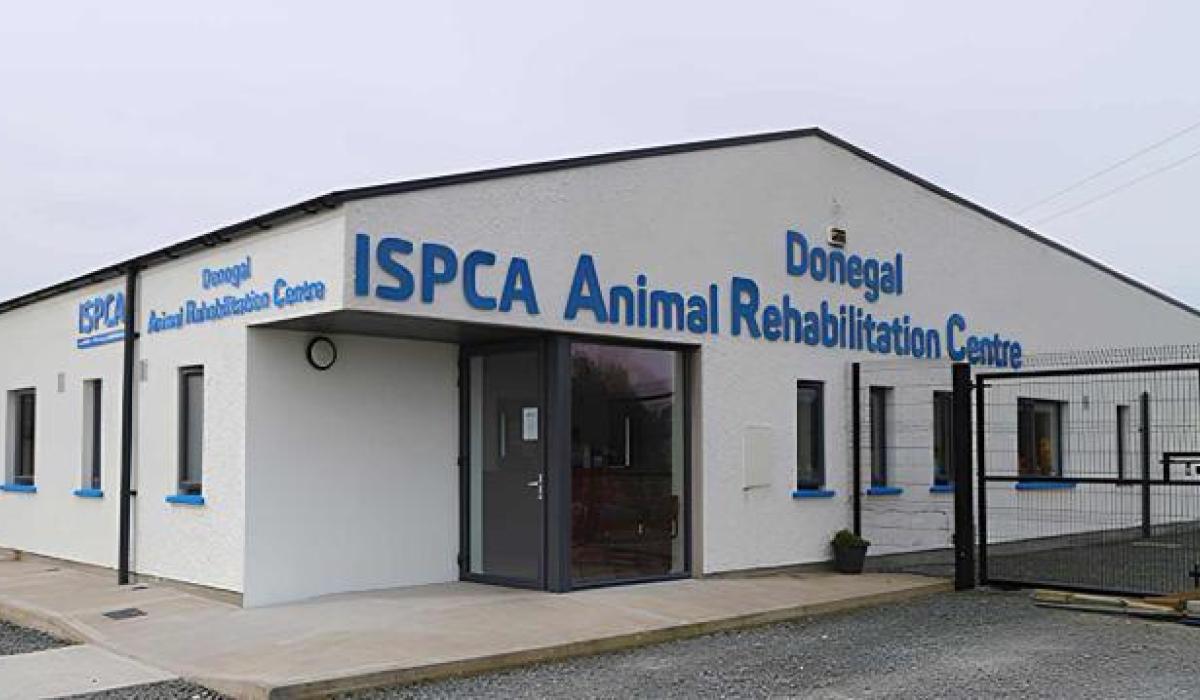 Calls made for investigation and return of Donegal Animal Rehabilitation Centre  