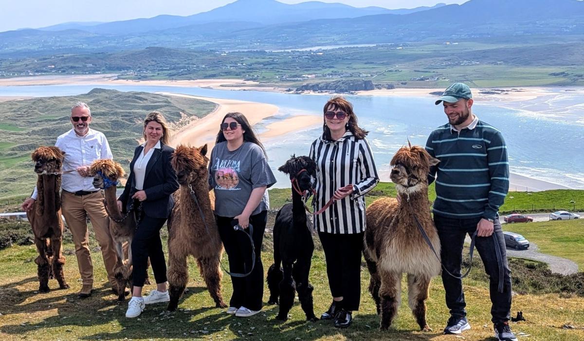 Inishowen tourism body celebrates a  year of   ‘exceptional achievements’